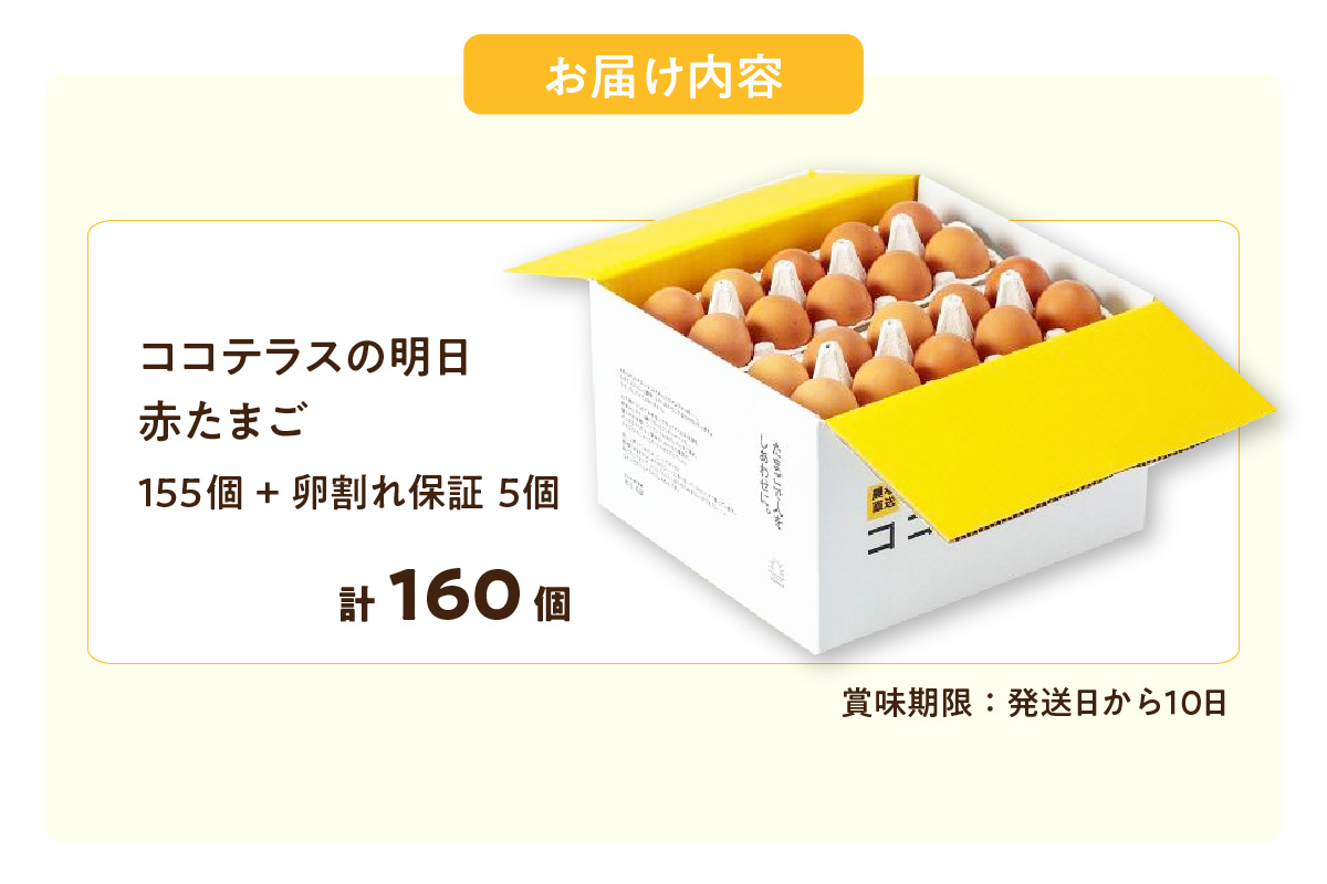 ã³ã³ãã©ã¹ã®ææ¥ïŒèµ€ããŸãïŒ155å+5åä¿èšŒïŒèš160åïŒãJGAPèªèšŒã