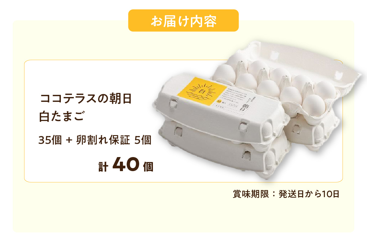 ココテラスの朝日（白たまご）35個 + 5個保証（計40個）【JGAP認証】
