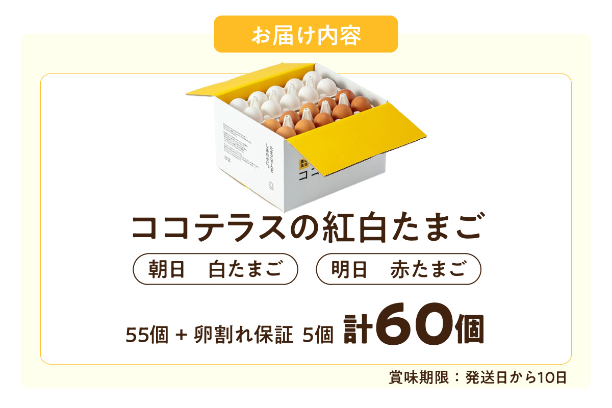 ココテラスの紅白たまご　55個 + 5個保証（計60個）【JGAP認証】