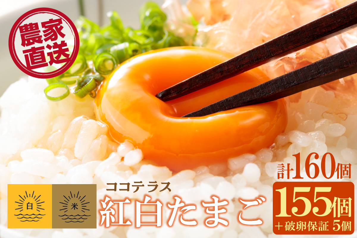 ココテラスの紅白たまご　155個 + 5個保証（計160個）【JGAP認証】