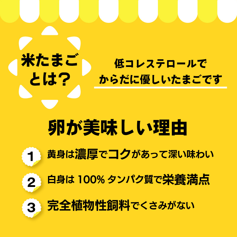 【冷凍便】ココテラスのシフォンケーキ