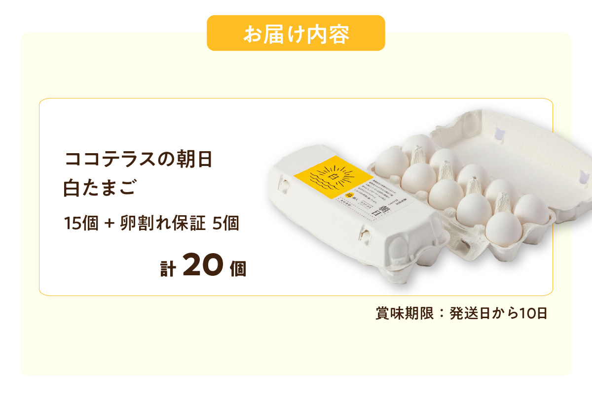 ココテラスの朝日（白たまご）15個 + 5個保証（計20個）【JGAP認証】