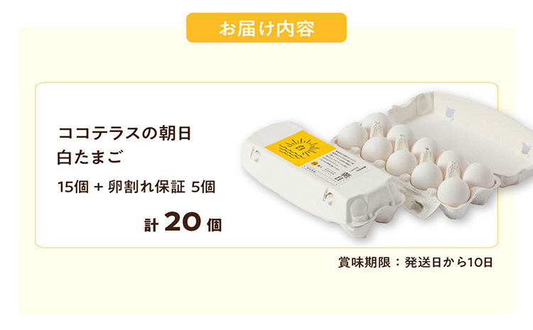 ココテラスの朝日（白たまご）15個 + 5個保証（計20個）