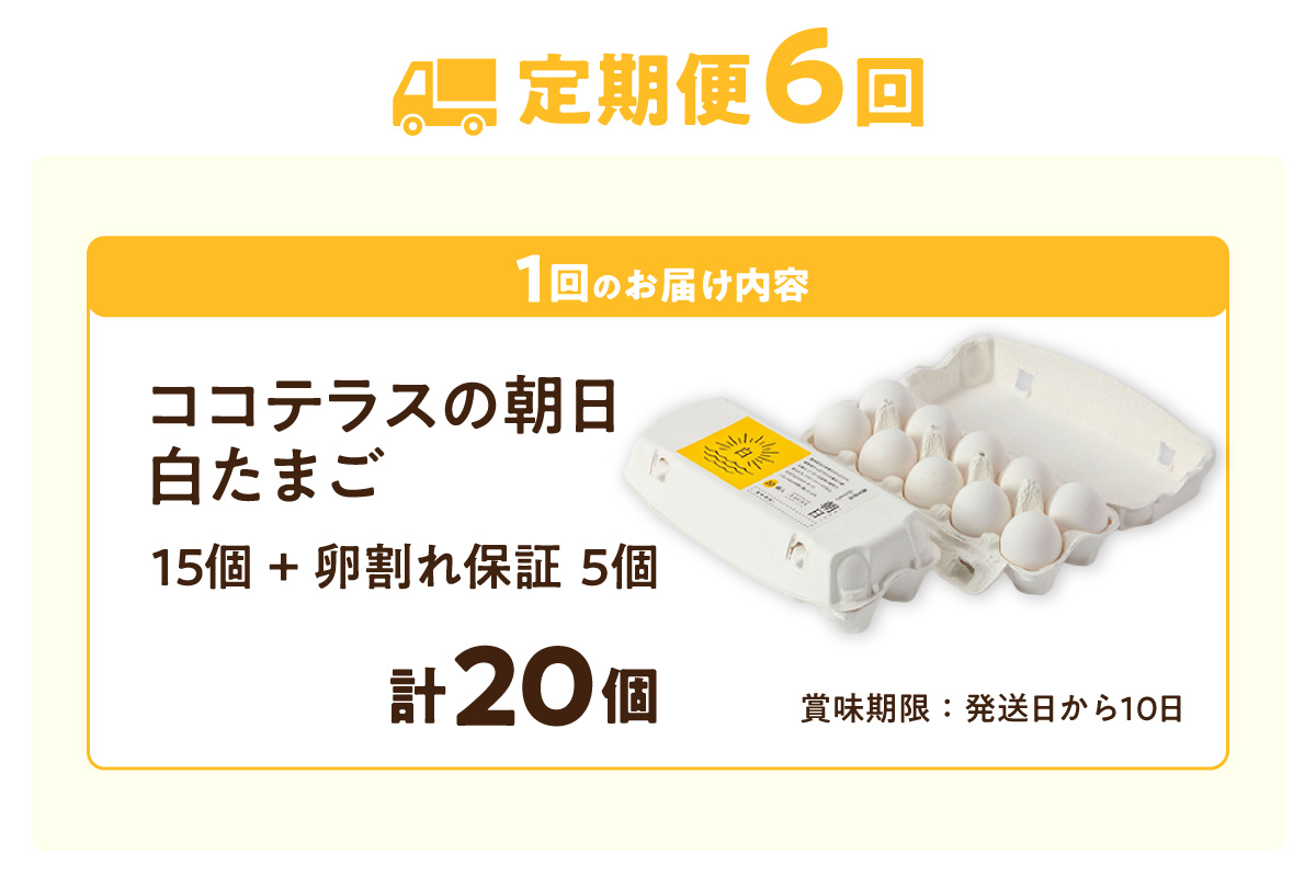 ã6ãµæå®æäŸ¿ãã³ã³ãã©ã¹ã®ææ¥ïŒçœããŸãïŒ15å + 5åä¿èšŒïŒèš20åïŒãJGAPèªèšŒã