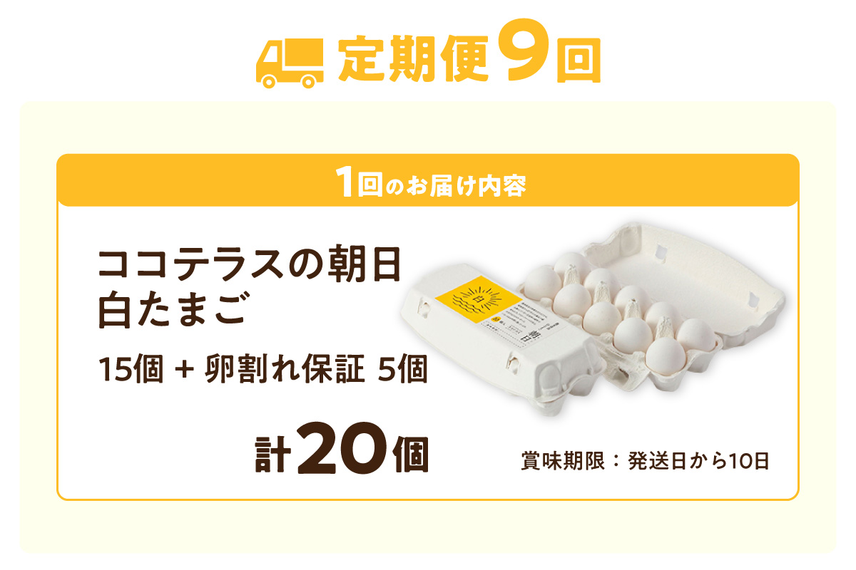 【9ヵ月定期便】ココテラスの朝日（白たまご）15個 + 5個保証（計20個）【JGAP認証】