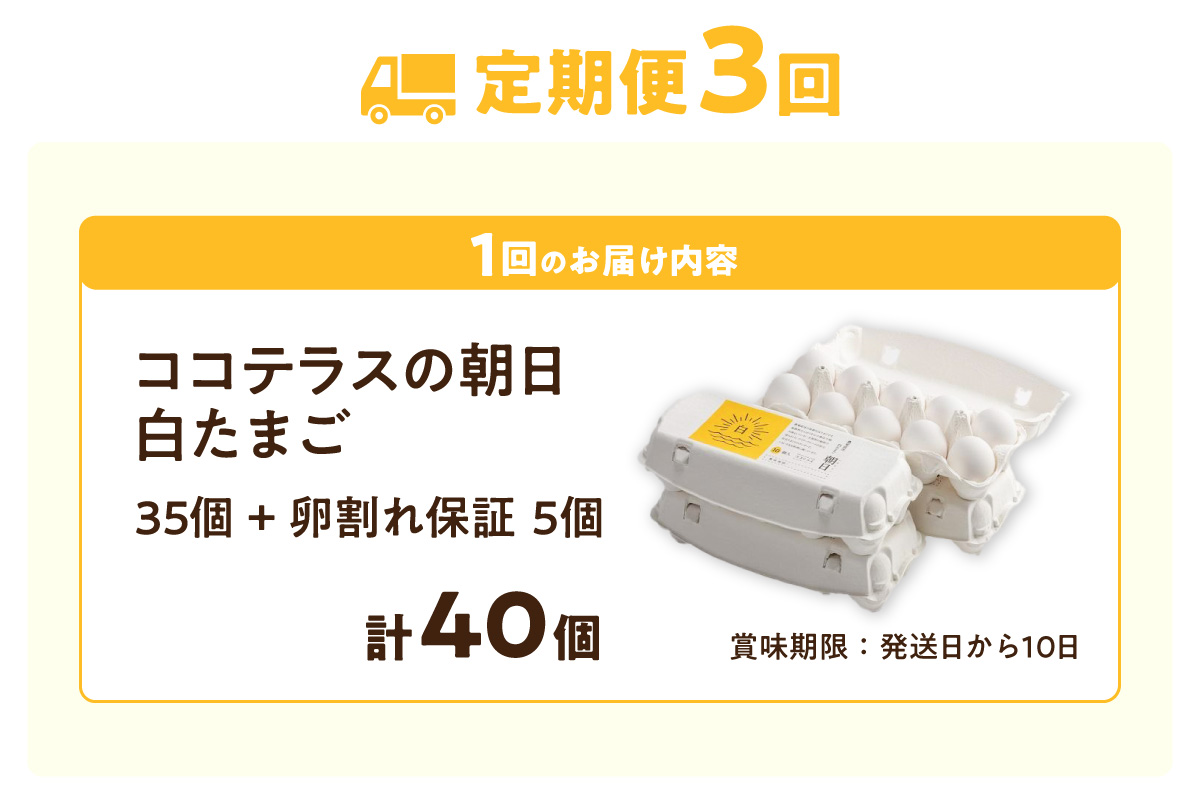 【3ヵ月定期便】ココテラスの朝日（白たまご）35個 + 5個保証（計40個）【JGAP認証】
