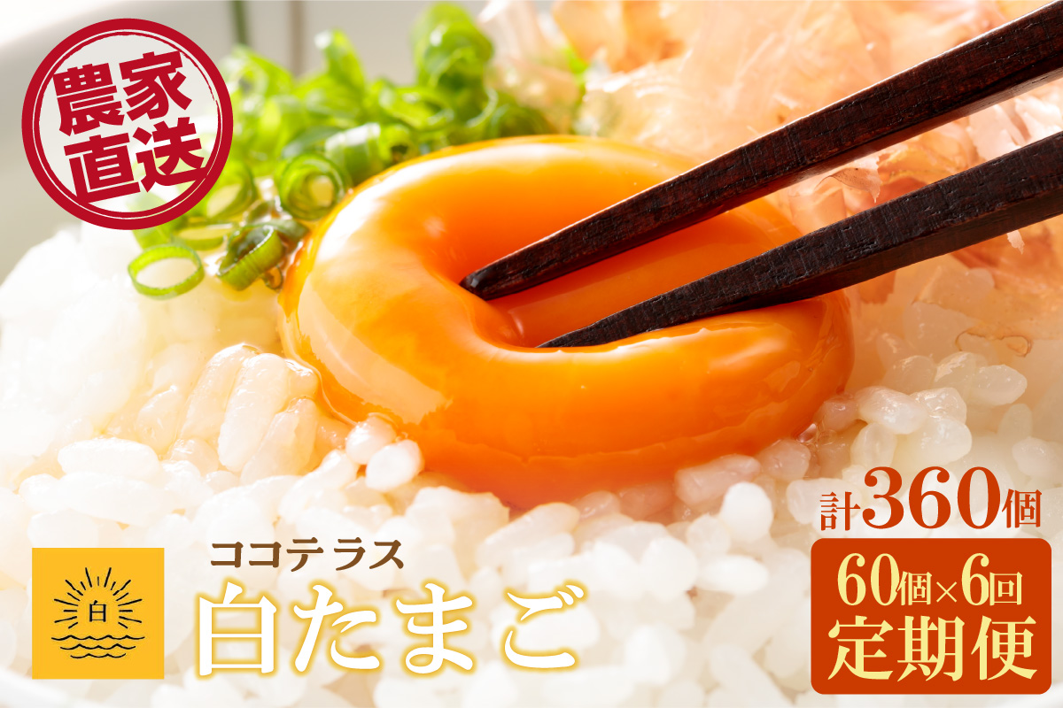 【6ヵ月定期便】ココテラスの朝日（白たまご）55個 + 5個保証（計60個）【JGAP認証】