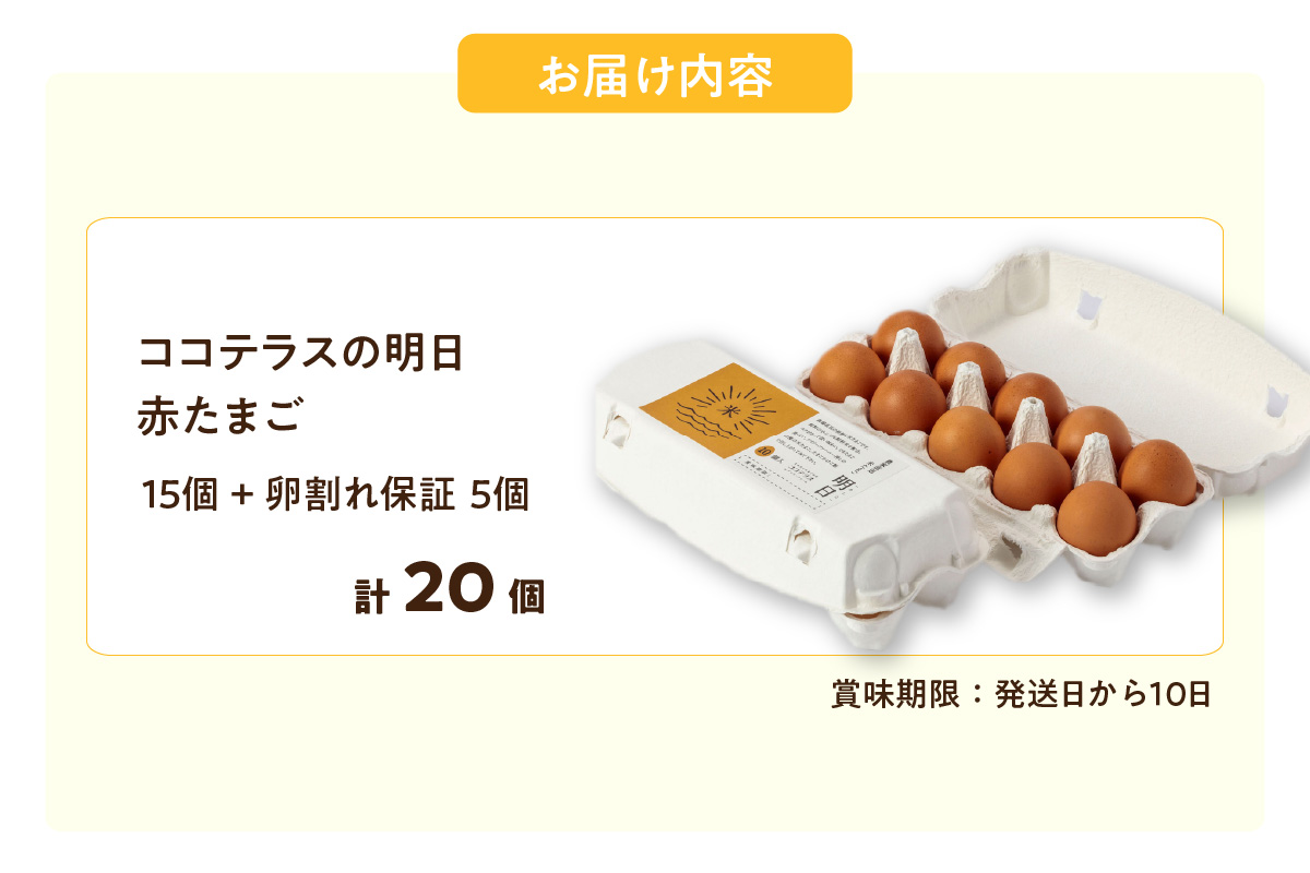 ã³ã³ãã©ã¹ã®ææ¥ïŒèµ€ããŸãïŒ15å + 5åä¿èšŒïŒèš20åïŒãJGAPèªèšŒã