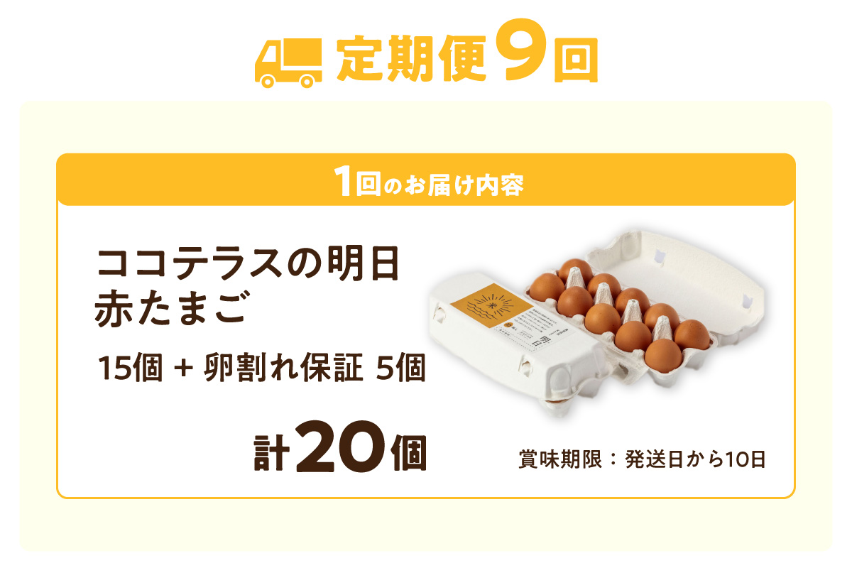 ã9ãµæå®æäŸ¿ãã³ã³ãã©ã¹ã®ææ¥ïŒèµ€ããŸãïŒ15å + 5åä¿èšŒïŒèš20åïŒãJGAPèªèšŒã