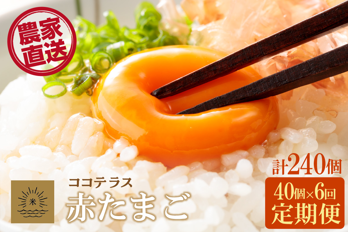 【6ヵ月定期便】ココテラスの明日（赤たまご）35個 + 5個保証（計40個）【JGAP認証】