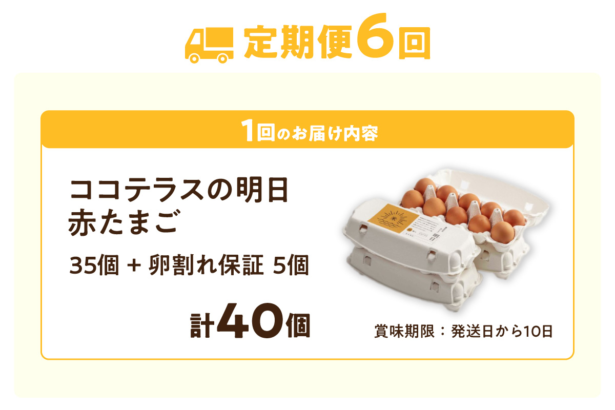 【6ヵ月定期便】ココテラスの明日（赤たまご）35個 + 5個保証（計40個）【JGAP認証】