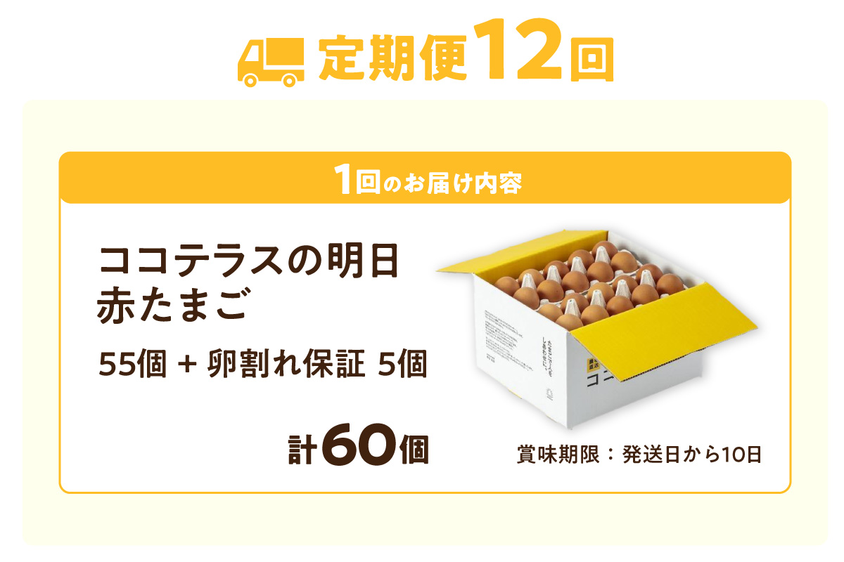 【12ヵ月定期便】ココテラスの明日（赤たまご）55個 + 5個保証（計60個）【JGAP認証】