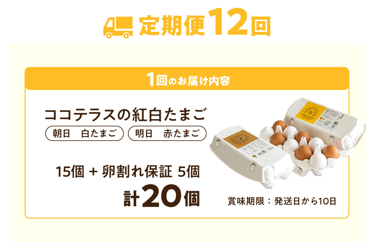 【12ヵ月定期便】ココテラスの紅白たまご　15個 + 5個保証（計20個）【JGAP認証】