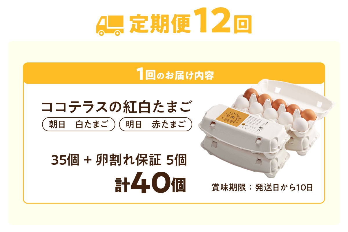 ã12ãµæå®æäŸ¿ãã³ã³ãã©ã¹ã®çŽ
çœããŸãã35å + 5åä¿èšŒïŒèš40åïŒãJGAPèªèšŒã