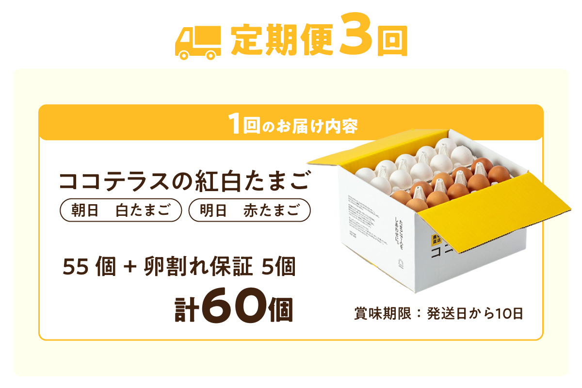 ã3ãµæå®æäŸ¿ãã³ã³ãã©ã¹ã®çŽ
çœããŸãã55å + 5åä¿èšŒïŒèš60åïŒãJGAPèªèšŒã