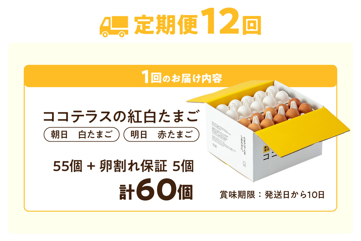 ã12ãµæå®æäŸ¿ãã³ã³ãã©ã¹ã®çŽ
çœããŸãã55å + 5åä¿èšŒïŒèš60åïŒãJGAPèªèšŒã