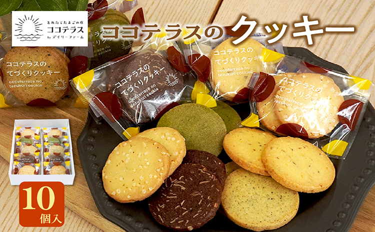 ココテラスのクッキー（10個）