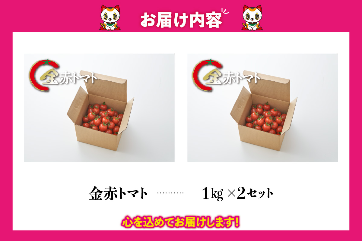 ããã奜ãããæããããã2kgãéèµ€ããããã éè æ°é®®éè å€éè æ¬éè çéè ããããã ããããã ãã«ãŒã ããã åœç£ å³ãæ¿ã æ¿å é«ç³åºŠ çã ãã¿ãã³C ãªã³ãã³ ãåŒåœ ãµã©ã ããªã åè ãåãå¯ã ç¹ç£å æç¥ç åžžæ»åž