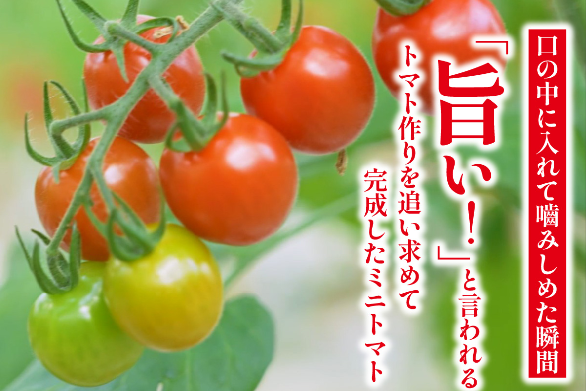 ããã奜ãããæããããã2kgãéèµ€ããããã éè æ°é®®éè å€éè æ¬éè çéè ããããã ããããã ãã«ãŒã ããã åœç£ å³ãæ¿ã æ¿å é«ç³åºŠ çã ãã¿ãã³C ãªã³ãã³ ãåŒåœ ãµã©ã ããªã åè ãåãå¯ã ç¹ç£å æç¥ç åžžæ»åž