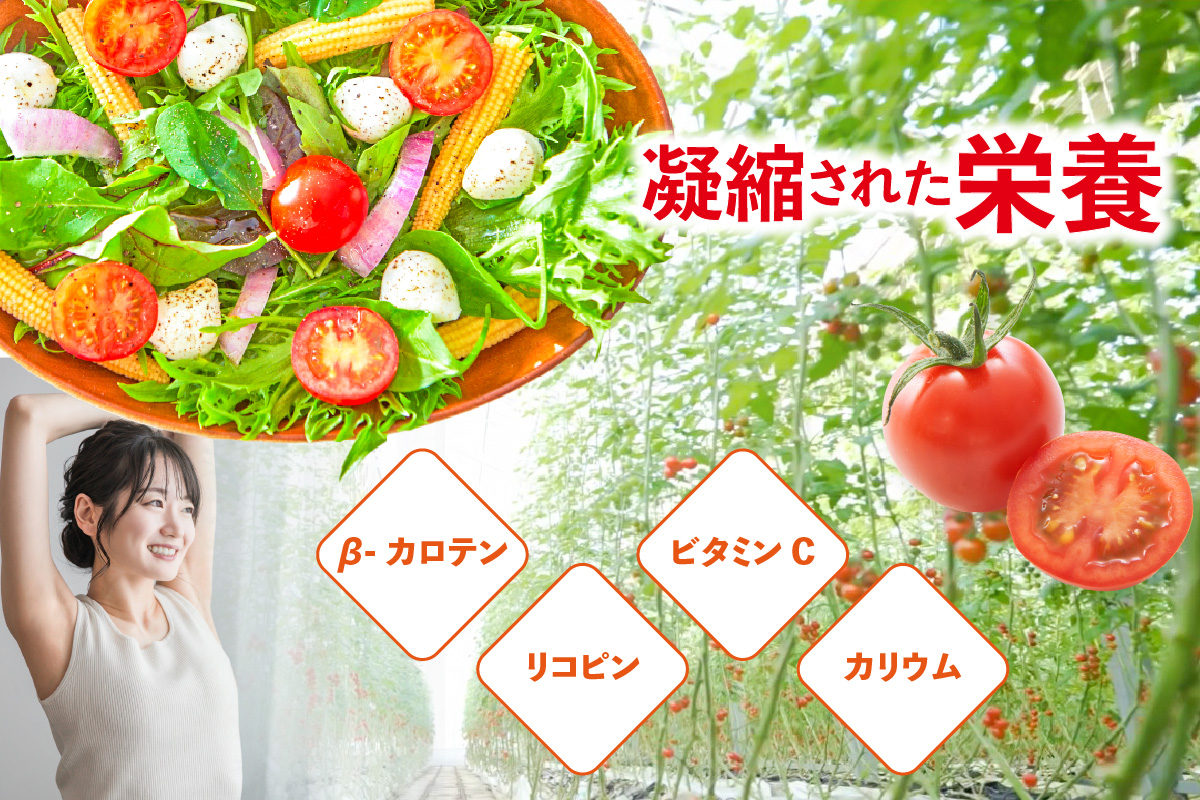 ããã奜ãããæããããã2kgãéèµ€ããããã éè æ°é®®éè å€éè æ¬éè çéè ããããã ããããã ãã«ãŒã ããã åœç£ å³ãæ¿ã æ¿å é«ç³åºŠ çã ãã¿ãã³C ãªã³ãã³ ãåŒåœ ãµã©ã ããªã åè ãåãå¯ã ç¹ç£å æç¥ç åžžæ»åž