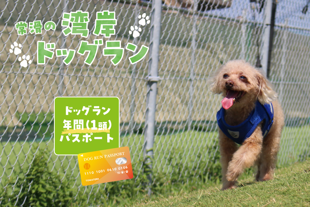 【海を一望できるドッグラン 利用チケット】ドッグラン年パス 1頭