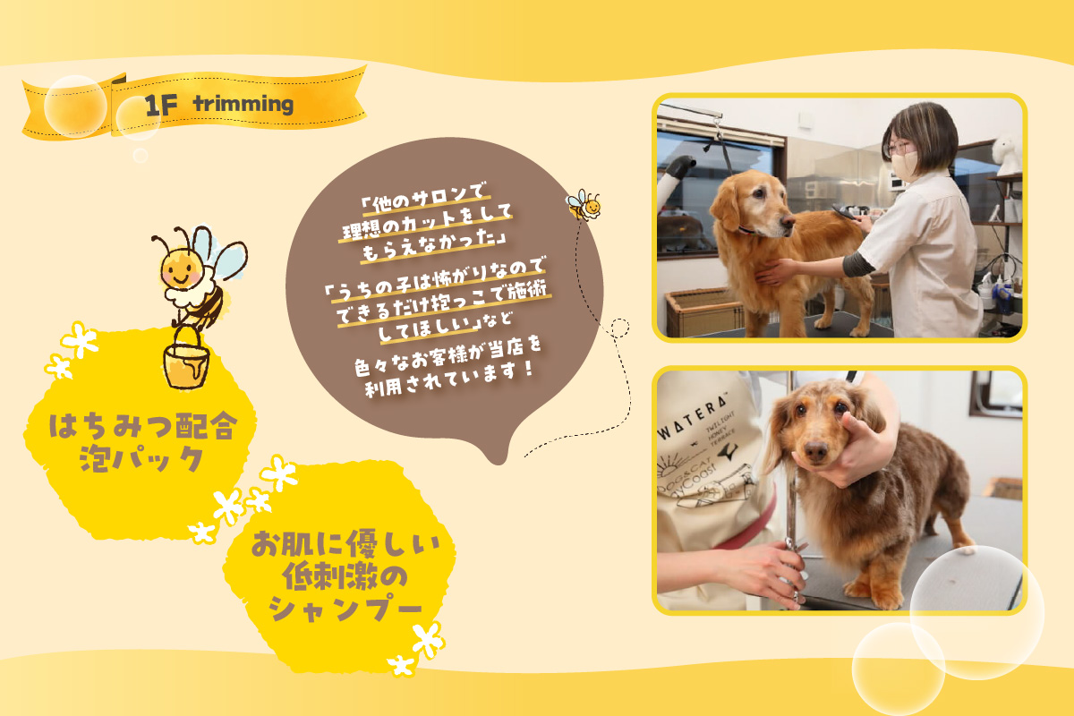 【海を一望できるドッグラン 利用チケット】トワテラメンバーズ