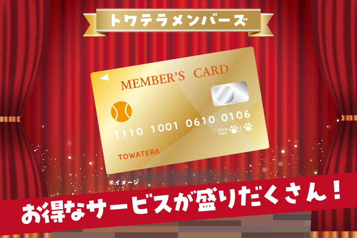 【海を一望できるドッグラン 利用チケット】トワテラメンバーズ