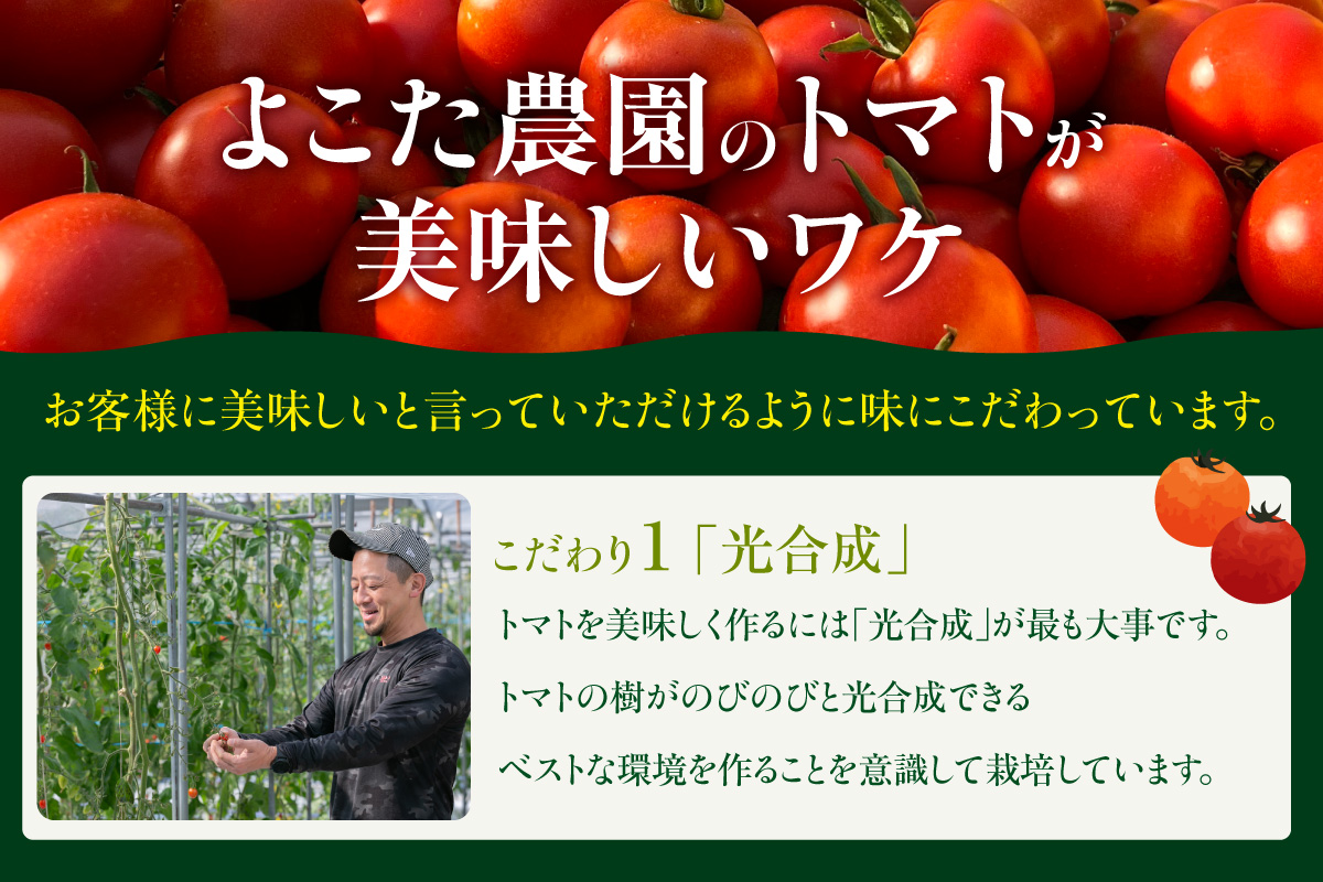 濃厚100％フルーツトマトジュース1000ml│よこた農園 濃厚100％ フルーツ トマトジュース とまとジュース よこた農園 野菜 トマト tomato ジュース 飲むトマト リコピン 新鮮野菜 太陽の恵み トマト料理 愛知県産 お取り寄せ グルメ