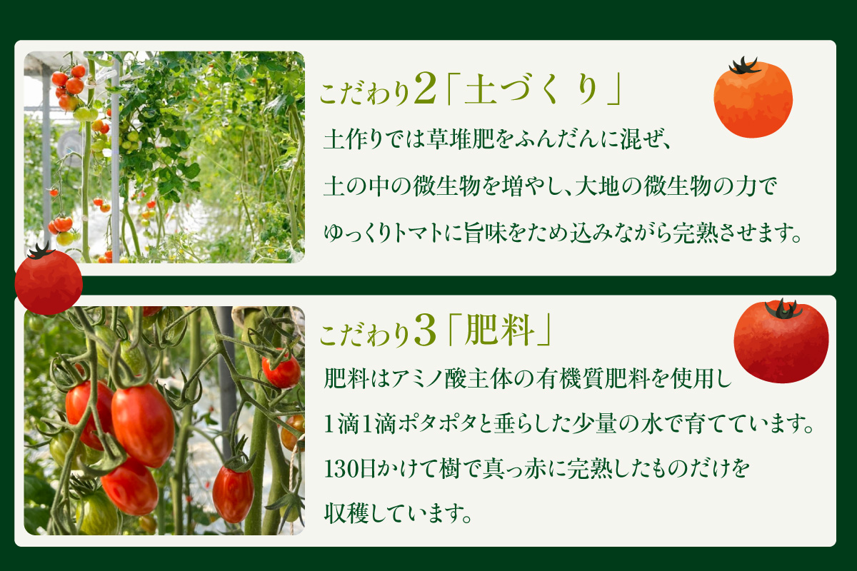 濃厚100％フルーツトマトジュース1000ml│よこた農園 濃厚100％ フルーツ トマトジュース とまとジュース よこた農園 野菜 トマト tomato ジュース 飲むトマト リコピン 新鮮野菜 太陽の恵み トマト料理 愛知県産 お取り寄せ グルメ
