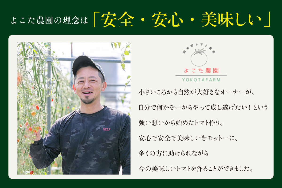 濃厚100％フルーツトマトジュース1000ml│よこた農園 濃厚100％ フルーツ トマトジュース とまとジュース よこた農園 野菜 トマト tomato ジュース 飲むトマト リコピン 新鮮野菜 太陽の恵み トマト料理 愛知県産 お取り寄せ グルメ