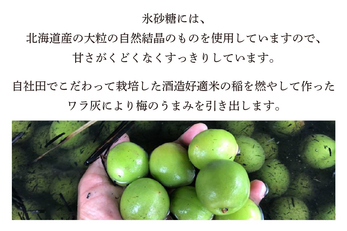 知多の梅酒 『純米吟醸仕込みの梅酒 白老梅(500ml)』