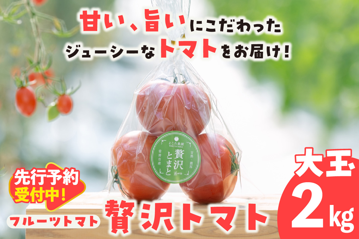 【先行予約】【2025年12月頃から順次発送】フルーツトマト　贅沢トマト2kg　よこた農園　大玉 贅沢トマト 野菜 トマト 新鮮野菜 太陽の恵み 大玉トマトトマト料理 愛知県産 フルーツとまと 甘いトマト お取り寄せ グルメ 常滑市