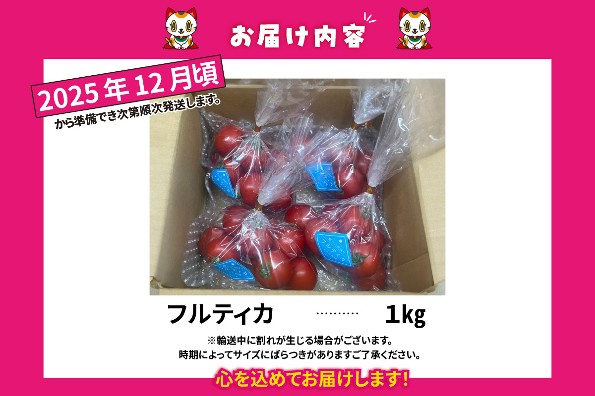 ãå
è¡äºçŽãã2025幎12æé ããé æ¬¡çºéããã«ãŒãããããäžçãã«ãã£ã«1kgãããã蟲å ããã«ãã£ã« éè ããã æ°é®®éè 倪éœã®æµã¿ äžçããããããæç æç¥çç£ ãã«ãŒããšãŸãš çãããã ãåãå¯ã ã°ã«ã¡ åžžæ»åž