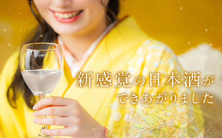 【愛知の酒米使用】日本酒・知多ぶる2本セット　720ml