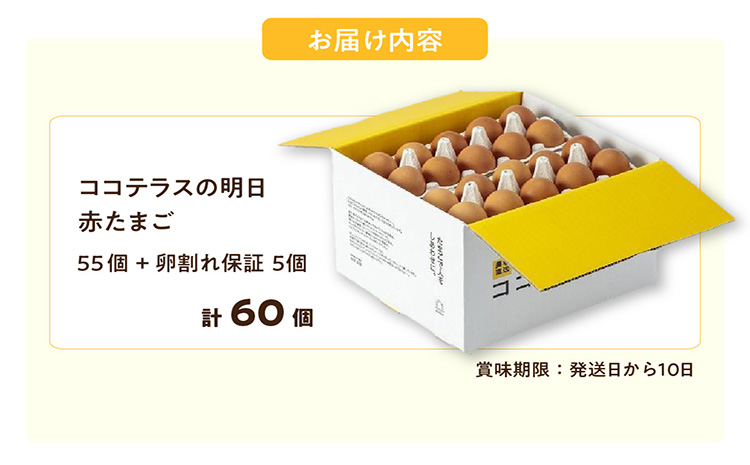 ココテラスの明日（赤たまご）55個 + 5個保証（計60個）