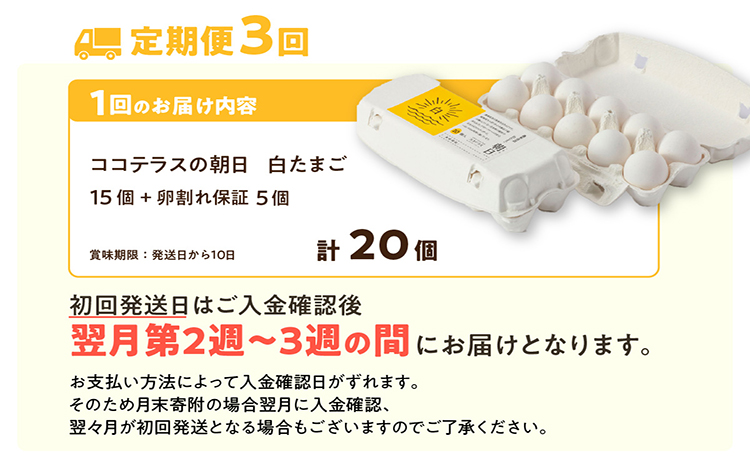 【3ヵ月定期便】ココテラスの朝日（白たまご）15個 + 5個保証（計20個）