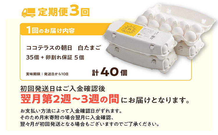 【3ヵ月定期便】ココテラスの朝日（白たまご）35個 + 5個保証（計40個）