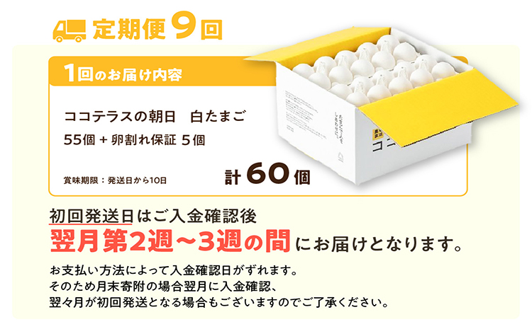 【9ヵ月定期便】ココテラスの朝日（白たまご）55個 + 5個保証（計60個）