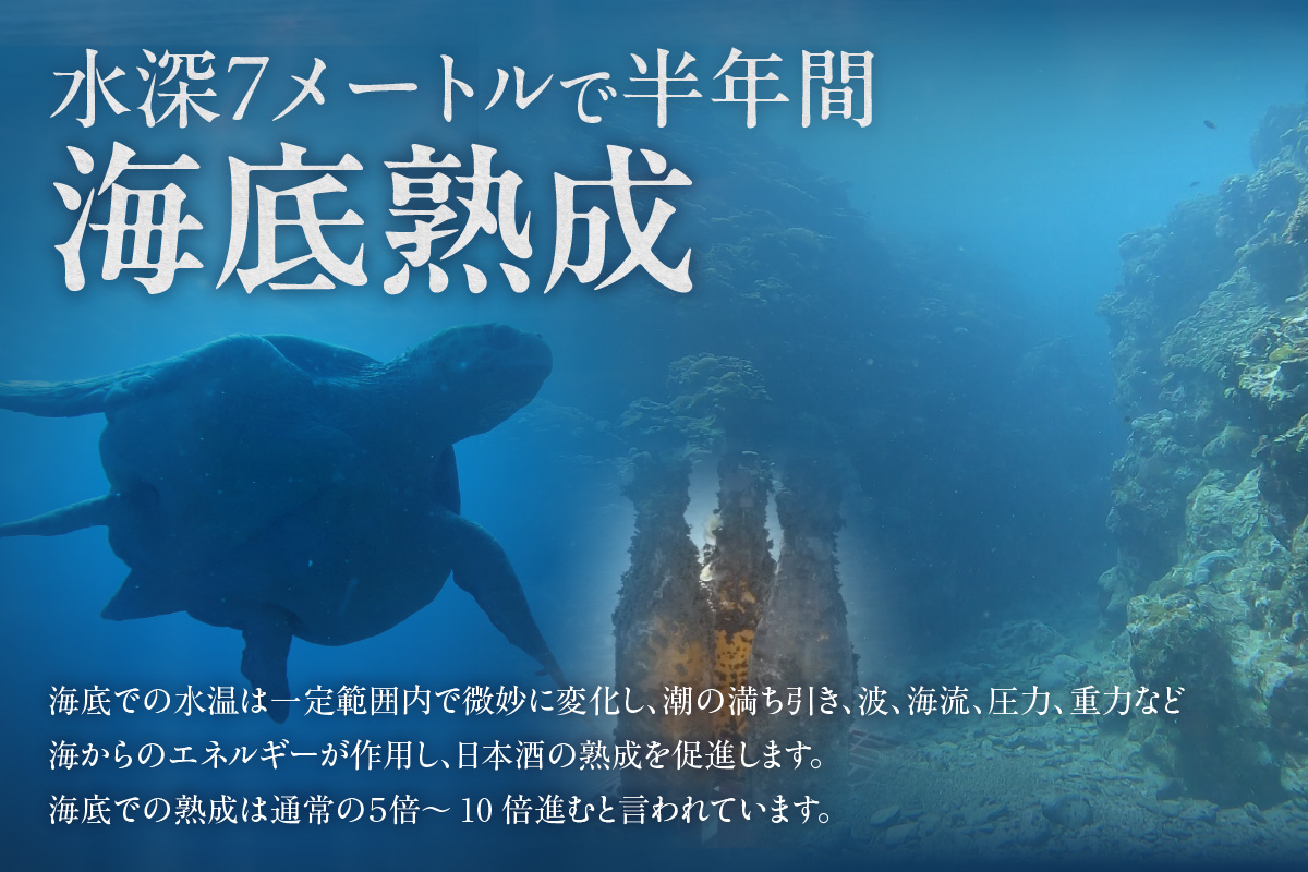 【テレビで紹介！】伊勢湾竜宮熟成酒「たまてばこ」【伊東】│天然熟成酒 日本酒 玄米使用 お酒 アルコール 贅沢 純米酒 熟成酒 海底熟成 地酒井上屋 愛知県 常滑市