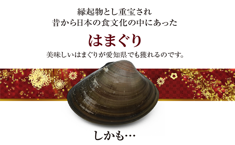 【奇跡のはまぐり】小鈴谷産天然はまぐり1kg│はまぐり 海鮮 魚 貝 漁協直送 手掘り 小鈴谷産 天然はまぐり ハマグリ 蛤 縁起物 酒蒸し 蒸し 焼き 愛知県 常滑市
