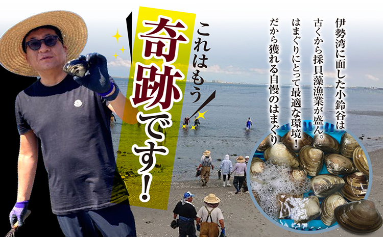 【奇跡のはまぐり】小鈴谷産天然はまぐり1kg│はまぐり 海鮮 魚 貝 漁協直送 手掘り 小鈴谷産 天然はまぐり ハマグリ 蛤 縁起物 酒蒸し 蒸し 焼き 愛知県 常滑市