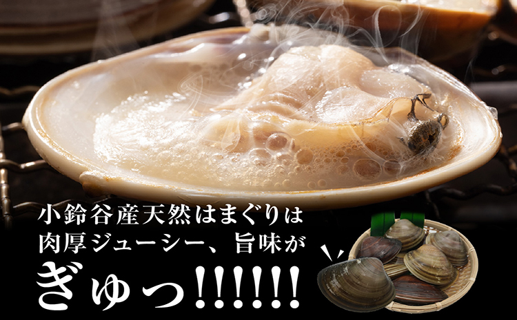【奇跡のはまぐり】小鈴谷産天然はまぐり1kg│はまぐり 海鮮 魚 貝 漁協直送 手掘り 小鈴谷産 天然はまぐり ハマグリ 蛤 縁起物 酒蒸し 蒸し 焼き 愛知県 常滑市