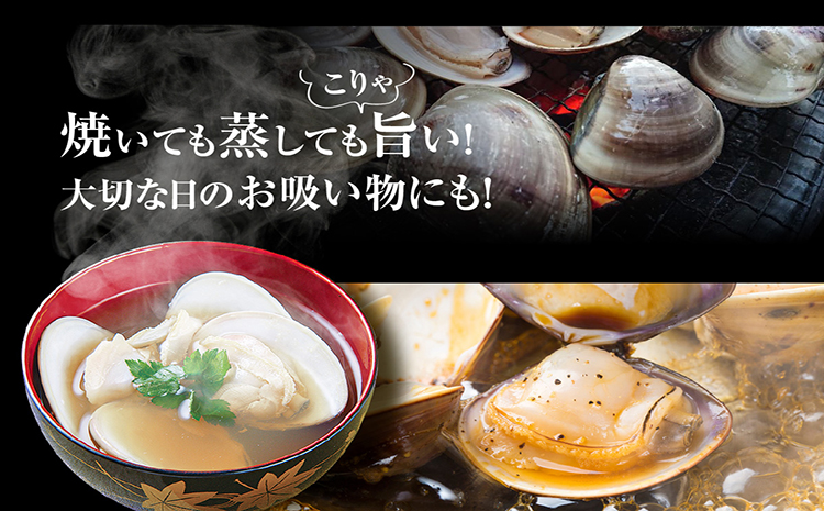 【奇跡のはまぐり】小鈴谷産天然はまぐり1kg│はまぐり 海鮮 魚 貝 漁協直送 手掘り 小鈴谷産 天然はまぐり ハマグリ 蛤 縁起物 酒蒸し 蒸し 焼き 愛知県 常滑市