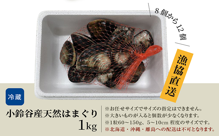 【奇跡のはまぐり】小鈴谷産天然はまぐり1kg│はまぐり 海鮮 魚 貝 漁協直送 手掘り 小鈴谷産 天然はまぐり ハマグリ 蛤 縁起物 酒蒸し 蒸し 焼き 愛知県 常滑市