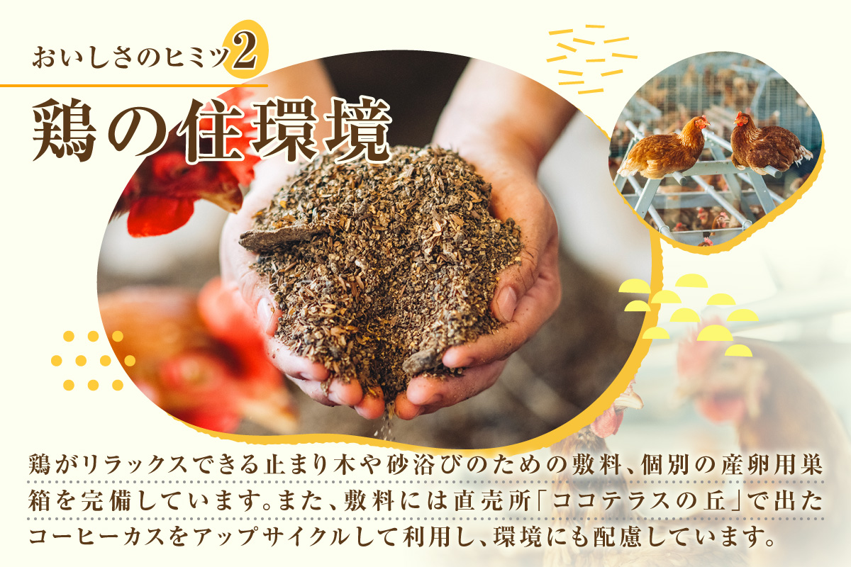 【6か月定期便】放し飼い米たまご35個+5個保証（計40個）