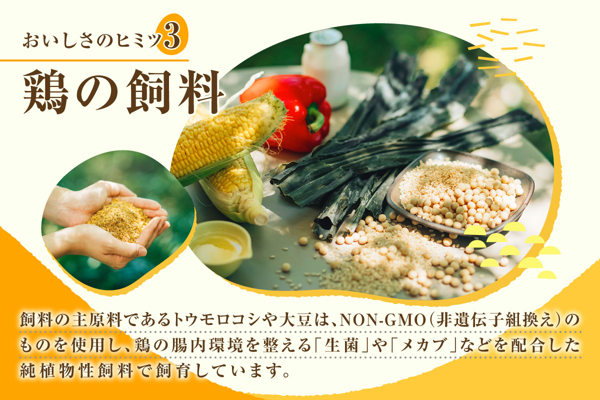 【6か月定期便】放し飼い米たまご35個+5個保証（計40個）