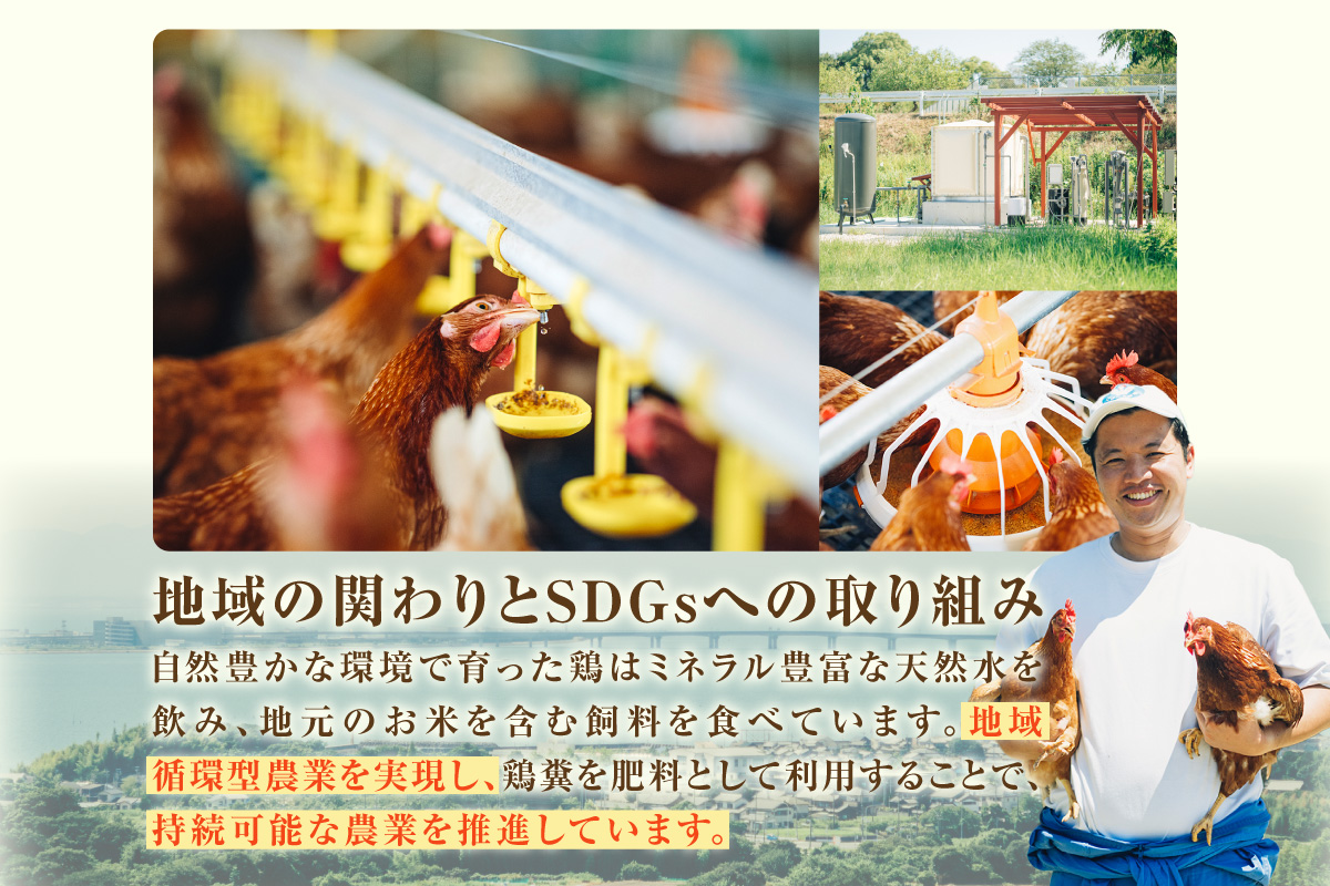 【6か月定期便】放し飼い米たまご35個+5個保証（計40個）