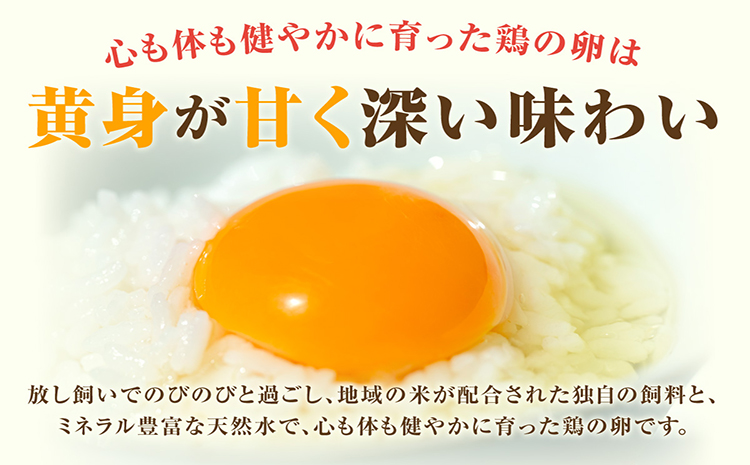 放し飼い米たまご55個+5個保証（計60個）