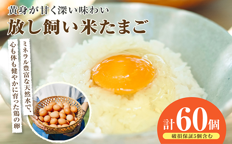 放し飼い米たまご55個+5個保証（計60個）