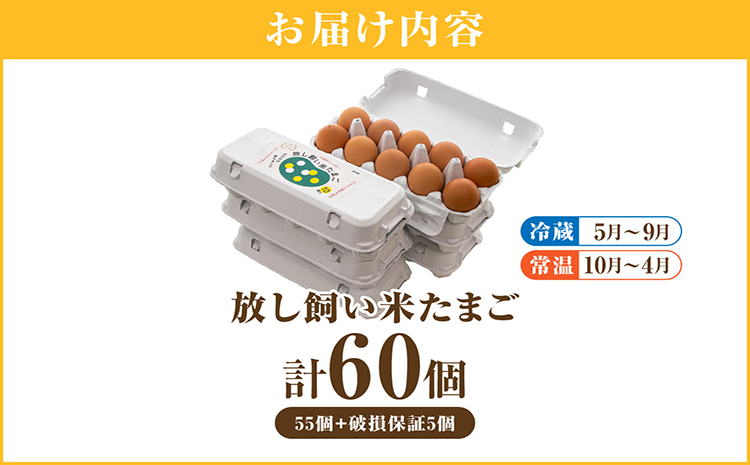 放し飼い米たまご55個+5個保証（計60個）